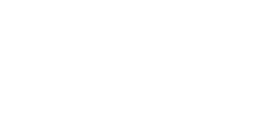 Buller District Council logo